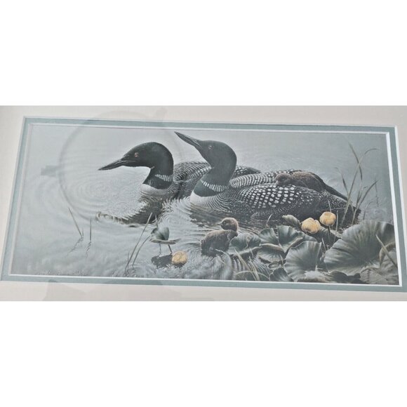 Framed & Matted Michael Dumas Art Print "Bright Water" Loons and Chicks 21 x 17 - Picture 3 of 13